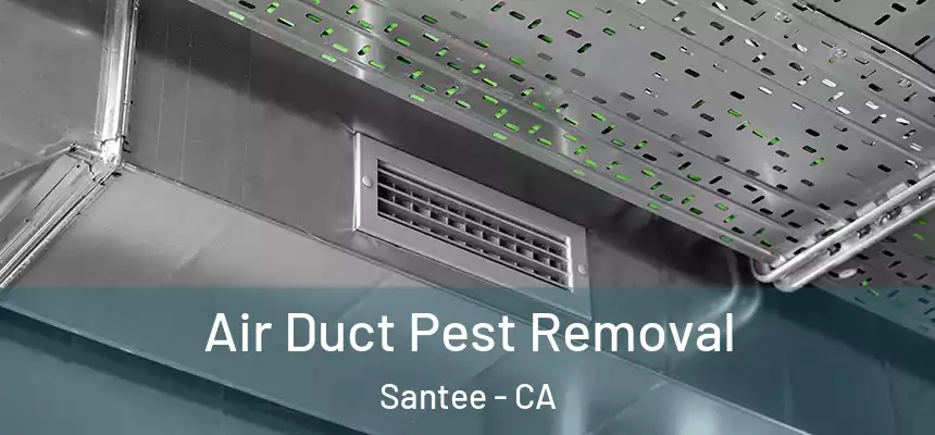 Air Duct Pest Removal Santee - CA