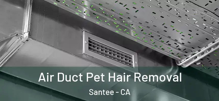  Air Duct Pet Hair Removal Santee - CA