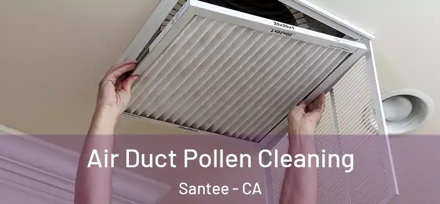  Air Duct Pollen Cleaning Santee - CA
