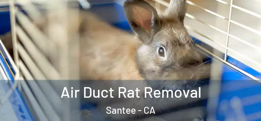  Air Duct Rat Removal Santee - CA