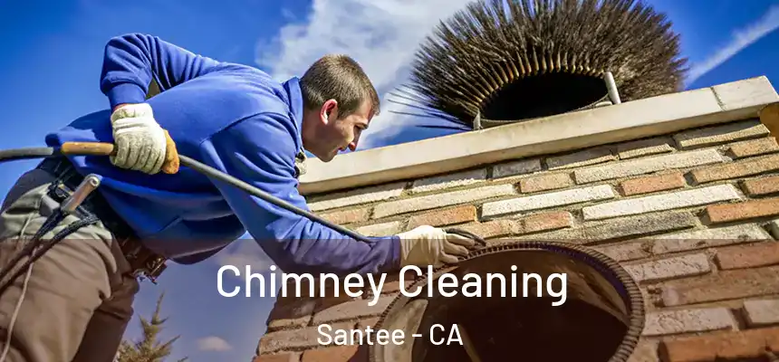  Chimney Cleaning Santee - CA
