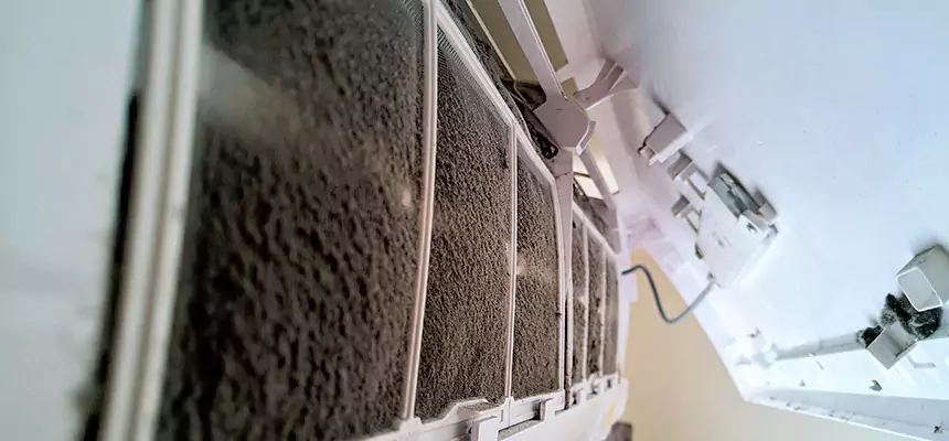 Preventive Air Duct Bacteria Removal in Santee