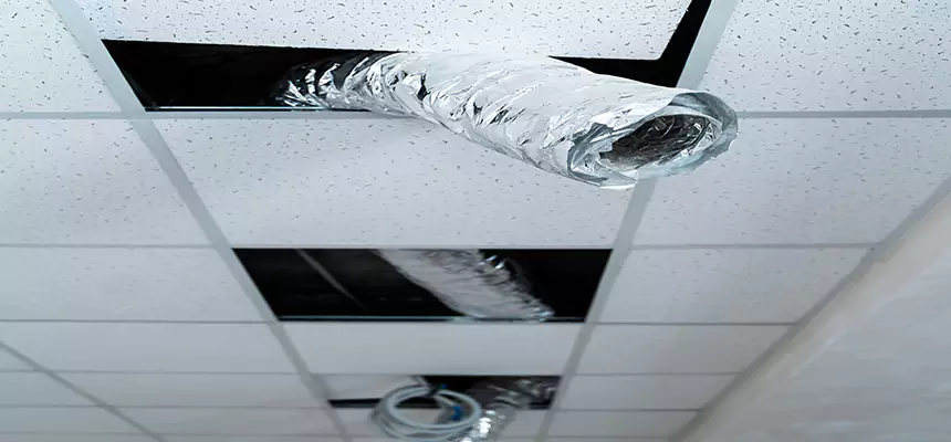 Affordable HVAC Sanitizing After Pest Removal in Santee