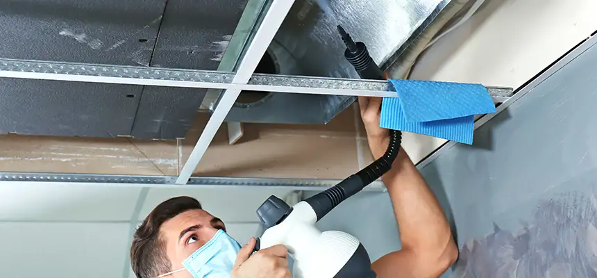 Our Air Duct Rodent Removal Services in Santee, CA
