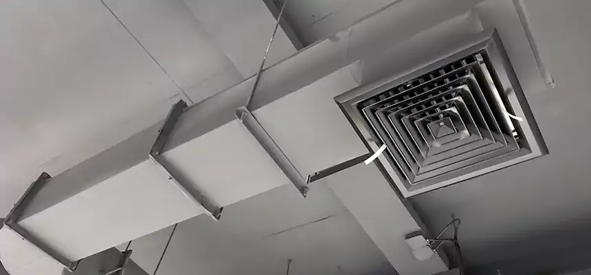 Our Pest Removal From Ducts Services in Santee, CA