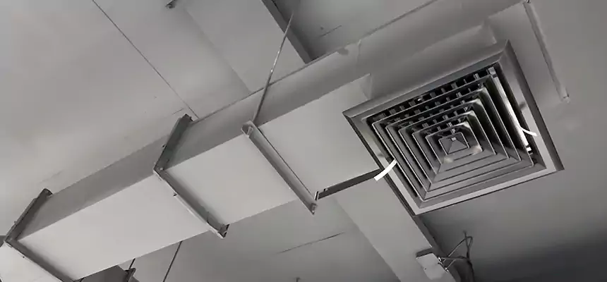 Our Rodent Droppings In Vents Services in Santee, CA