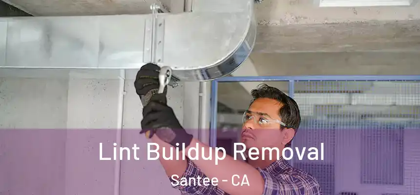  Lint Buildup Removal Santee - CA