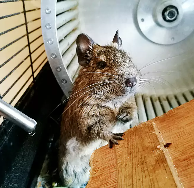 Why Homeowners & Businesses Trust Us Santee, CA?