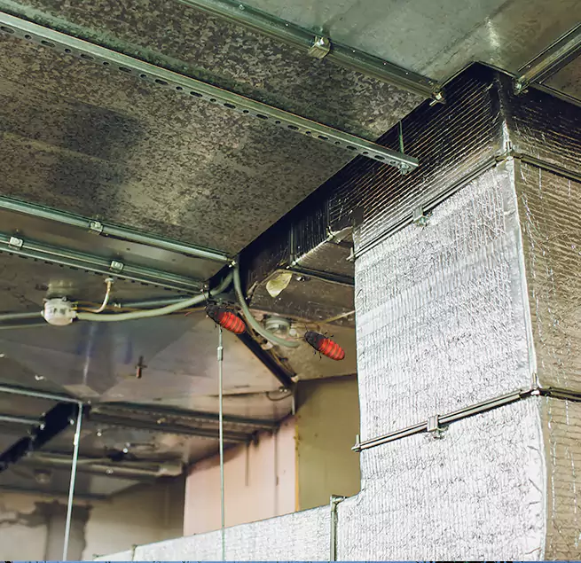 Why Homeowners & Businesses Trust Us Santee, CA?