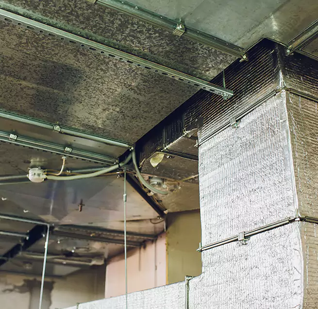 Why Homeowners & Businesses Trust Us in Santee, CA?